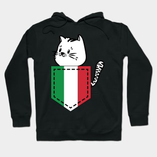 Patriotic Pocket Pussy - Cat Lover -  Italian Patriot Hoodie